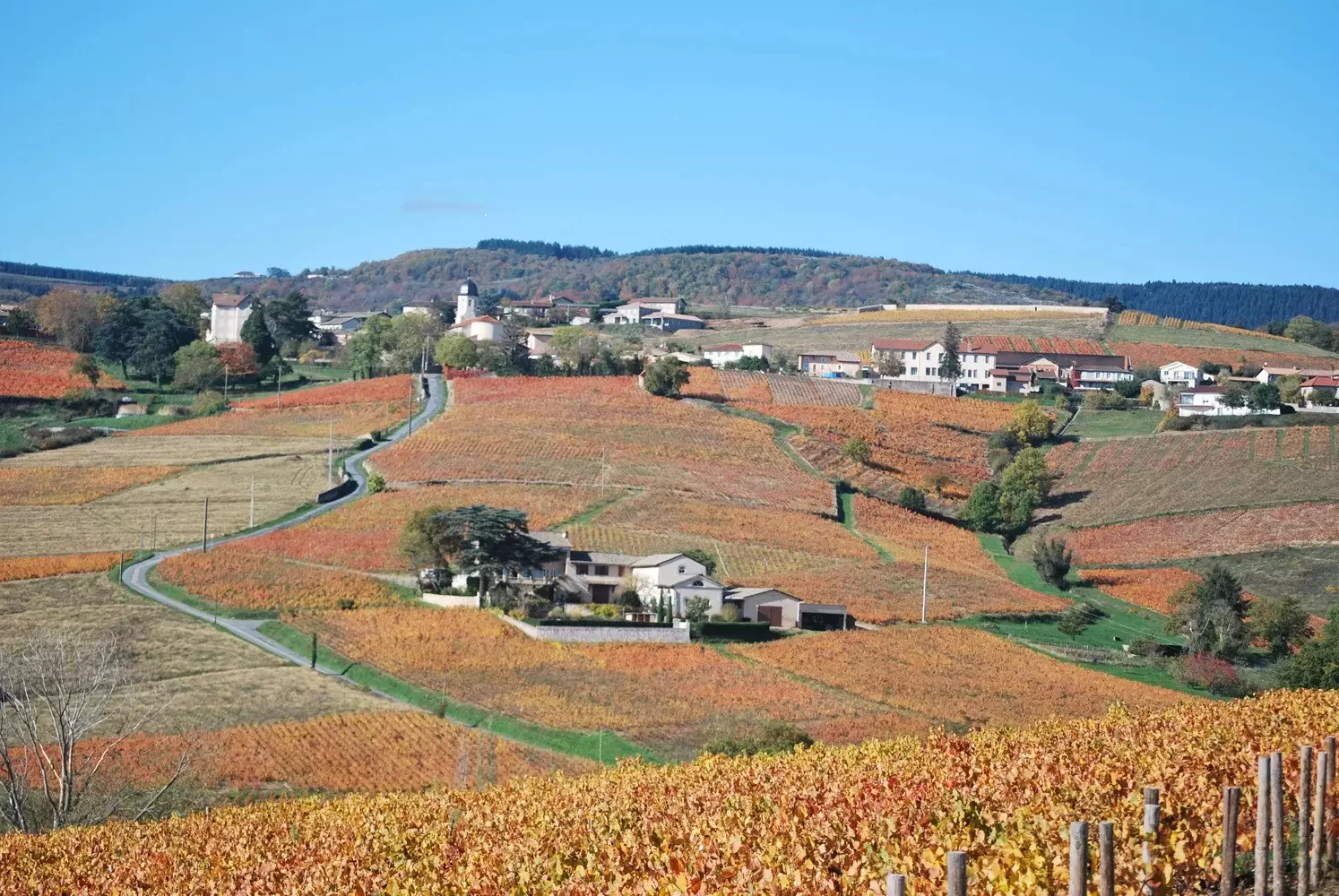 Photo 2 du domaine Cheysson