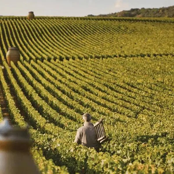 Photo 3 domaine richomme