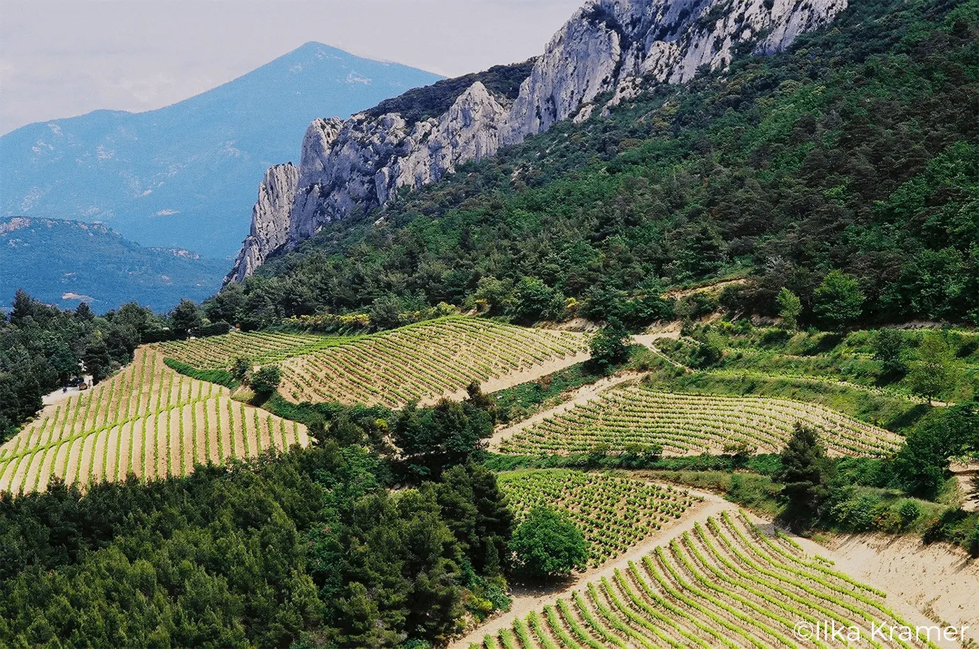 Photo 3 les teyssonnieres