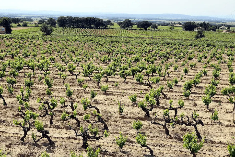 Photo 4 les teyssonnieres